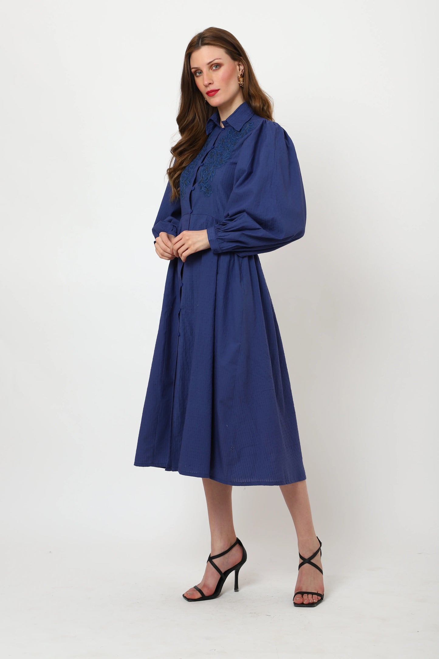 Centre Front Button Collared Neckline with Embroidery Detail Midi Dress - Navy Blue, Small to 3X-Large