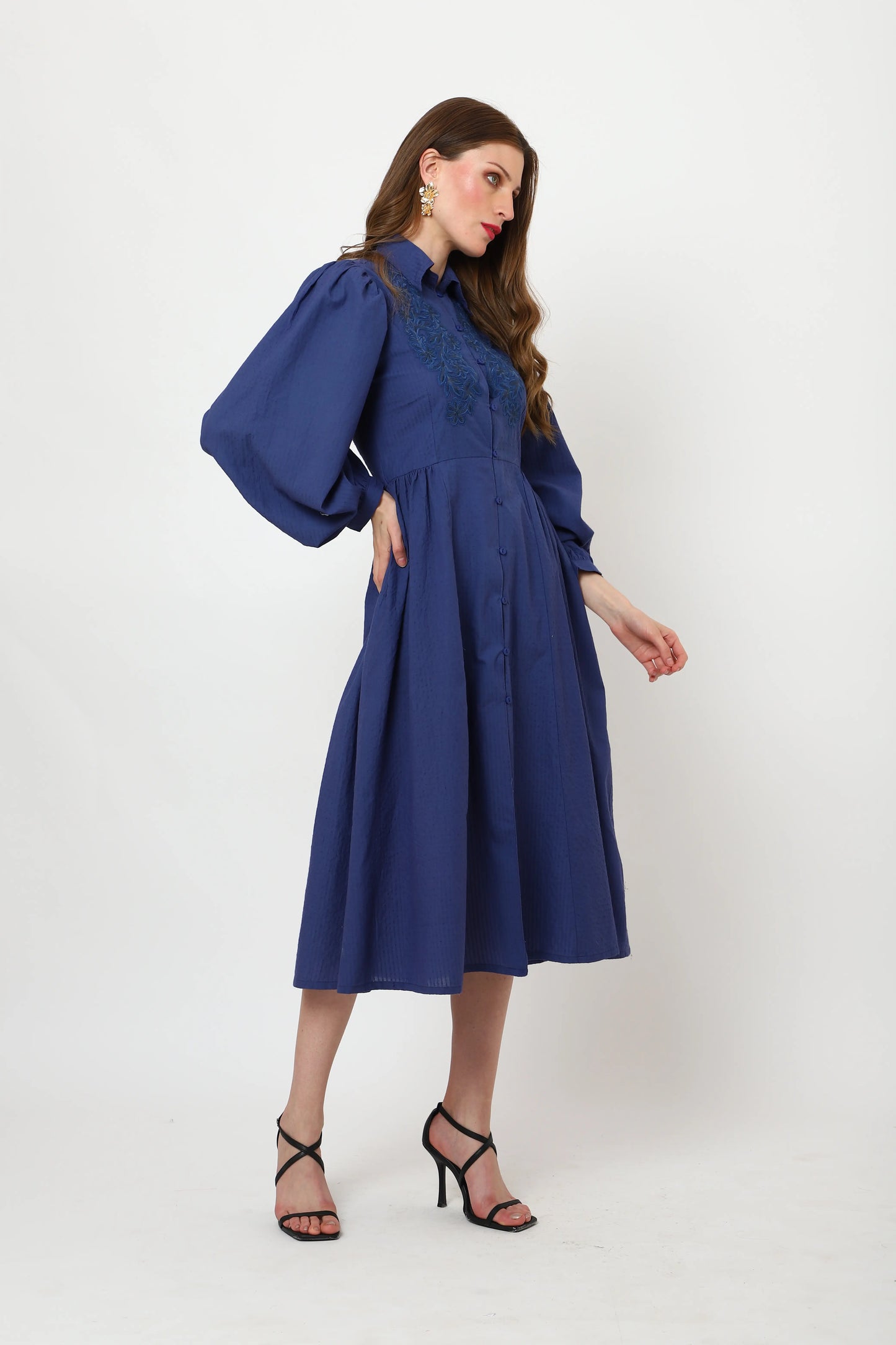 Centre Front Button Collared Neckline with Embroidery Detail Midi Dress - Navy Blue, Small to 3X-Large