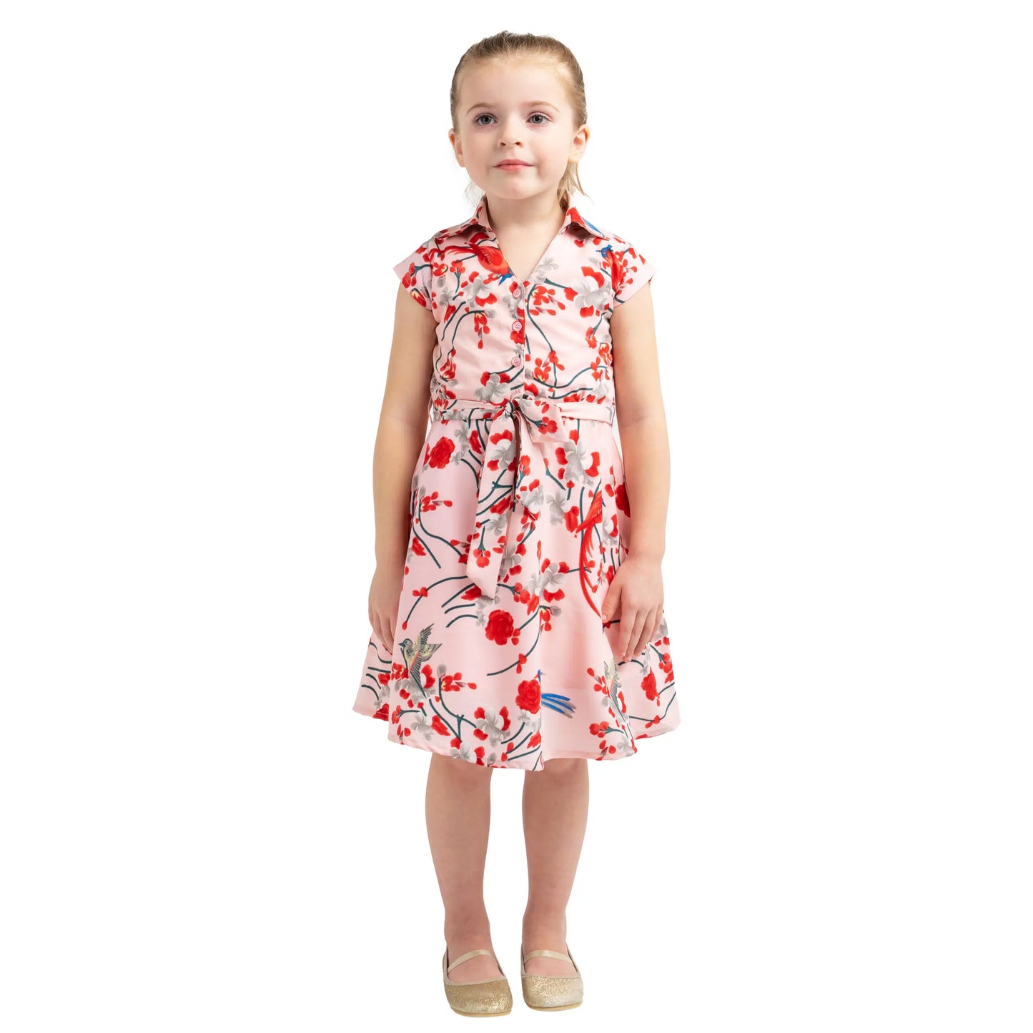 Girls Kids Vintage Style Collared Button down Dresses Bird Print - Available in 3 Colors