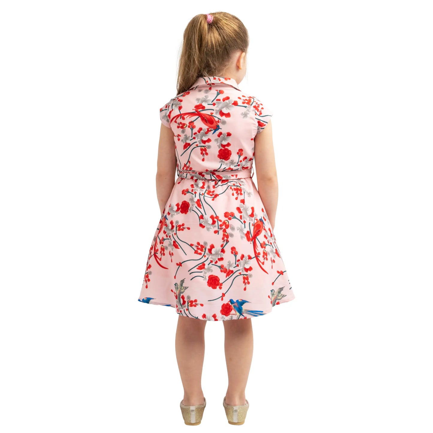 Girls Kids Vintage Style Collared Button down Dresses Bird Print - Available in 3 Colors