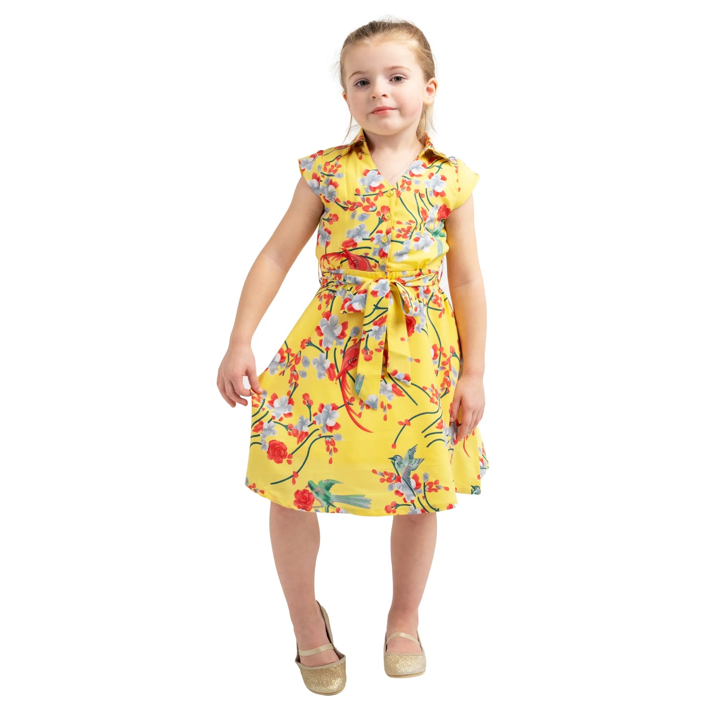 Girls Kids Vintage Style Collared Button down Dresses Bird Print - Available in 3 Colors