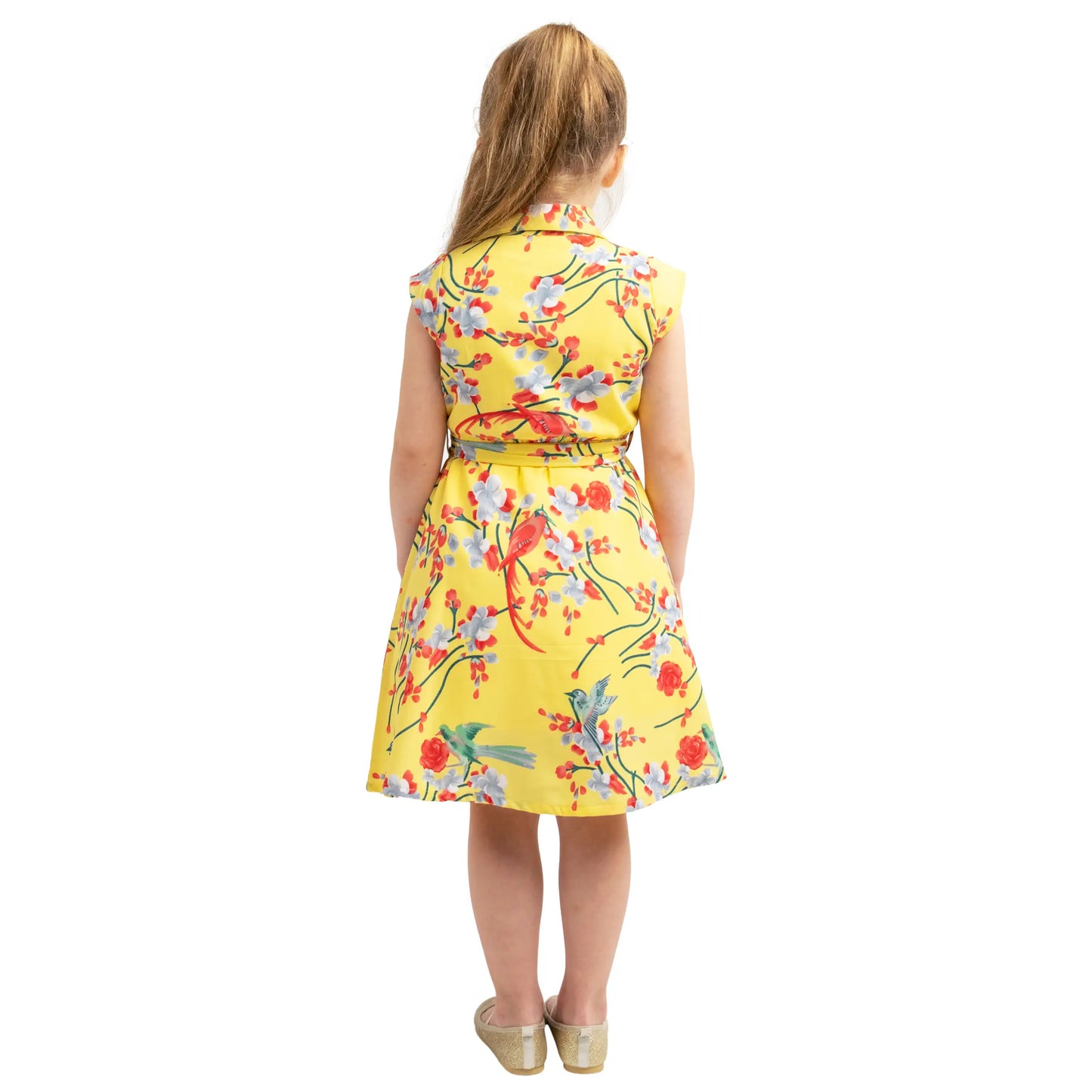 Girls Kids Vintage Style Collared Button down Dresses Bird Print - Available in 3 Colors