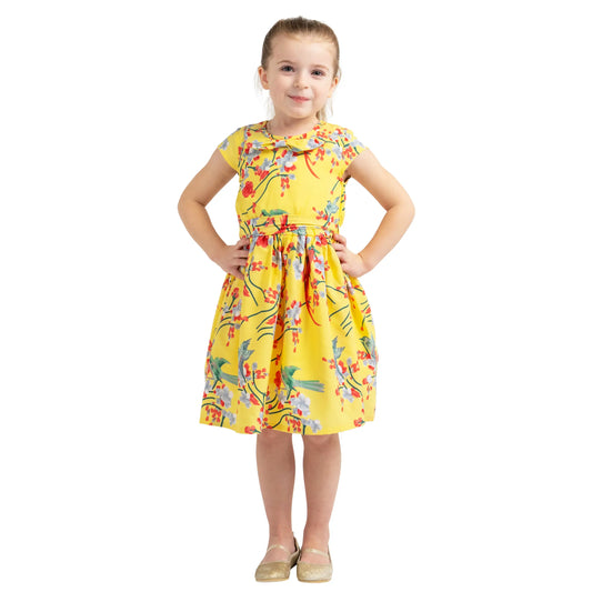 Girls Kids Vintage Style Peter Pan Collar Dresses Bird Print - Available in 3 Colors