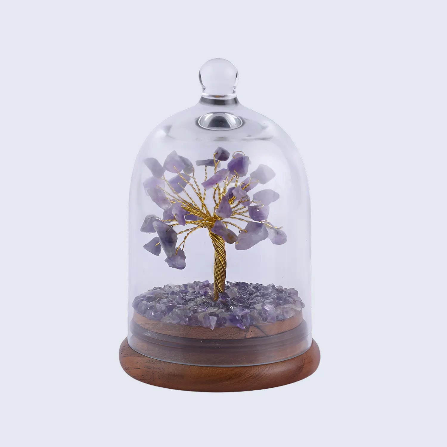 Healing Crystal Tree Amethyst with Dome - Purple