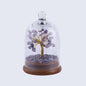 Healing Crystal Tree Amethyst with Dome - Purple